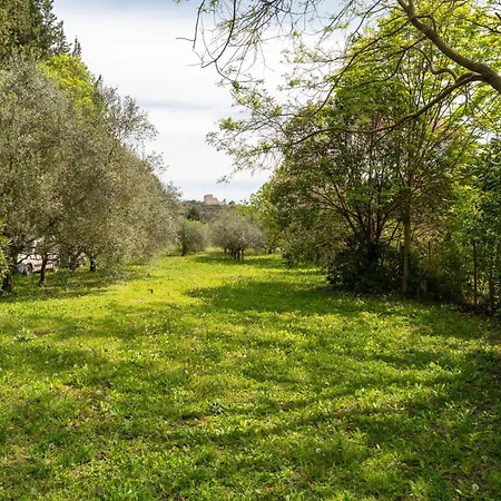 Holiday home La Petite Palasse